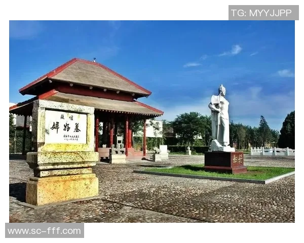 河南建业足球俱乐部的辉煌历程与未来发展展望